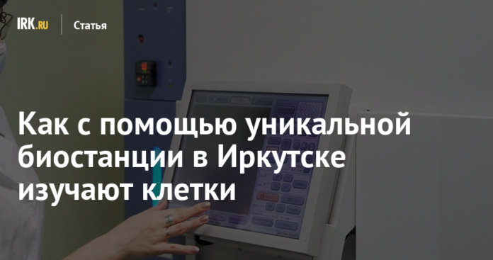 Как с помощью уникальной биостанции в Иркутске изучают клетки | Статьи