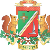 Прототипом памятника «Женщине-воину» в Крюково стала Раиса Хвостова