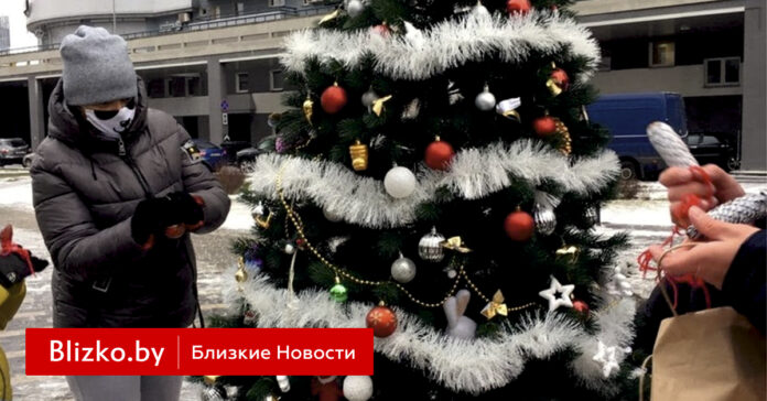 «Это просто шок». Минчане установили красивую елку во дворе, а через 2 дня ее похитили неизвестные