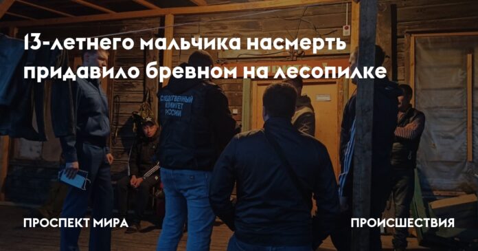 13-летнего мальчика насмерть придавило бревном на лесопилке | Проспект Мира