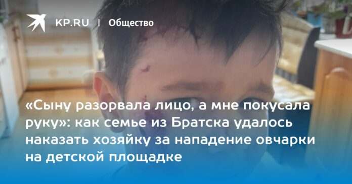 как семье из Братска удалось наказать хозяйку за нападение овчарки на детской площадке