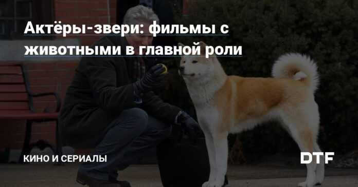 Актёры-звери: фильмы с животными в главной роли — Кино и сериалы на DTF - DTF