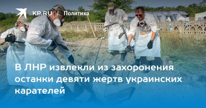 В ЛНР извлекли из захоронения останки девяти жертв украинских карателей
