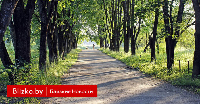 В Минском сквере Сеножаны установили эксклюзивные скамейки. Смотрите, как они выглядят