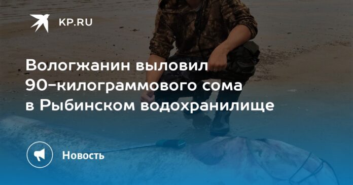 Вологжанин выловил 90-килограммового сома в Рыбинском водохранилище