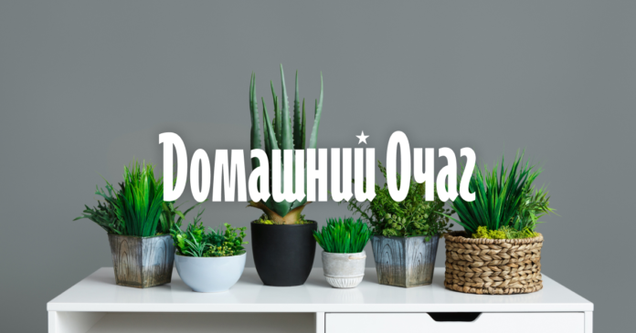 Звезды которые сделали ринопластику | Журнал Домашний очаг - Домашний Очаг